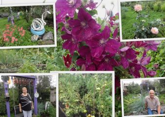 «Лучшее подворье – 2013»